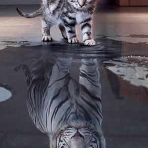 Meet your Posher, Lee